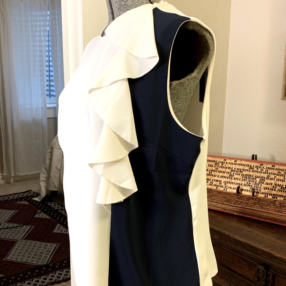 The Limited white and Navy Blouse